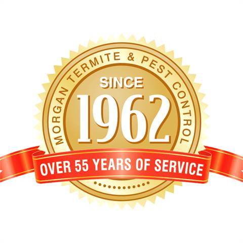 Morgan Termite and Pest Control
