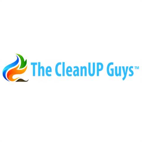 The CleanUP Guys