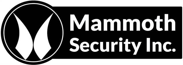 Mammoth Security Inc. New Britain