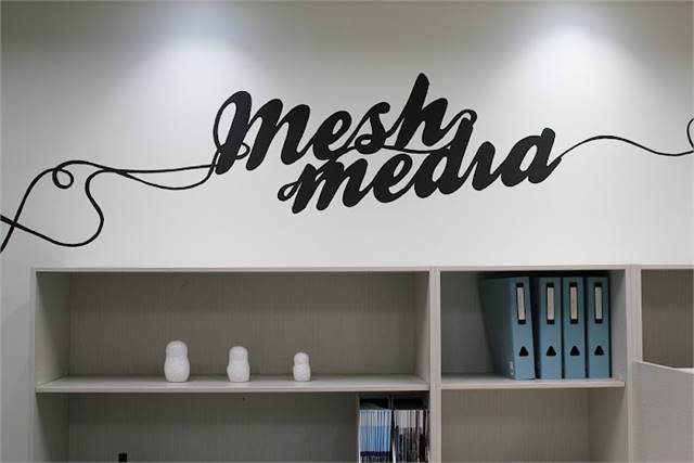 Meshmedia